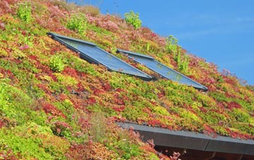 Gisburn living roof systems