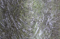 Gisburn fibreglass roof work